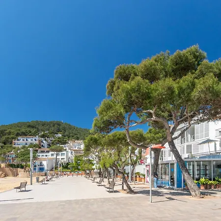 Atico En Tamariu, Gran Terraza Y Vistas Al Mar Apartment *